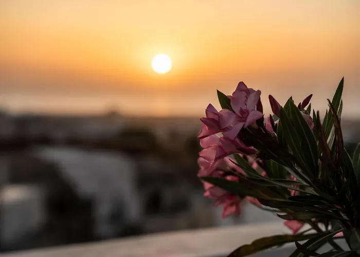 Maison d'hôtes Captain's Quarters