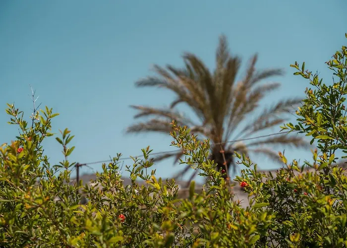 Konukevi Captain's Quarters 3*