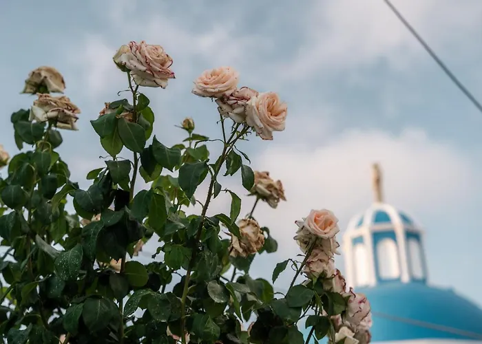 Gasthuis Captain's Quarters Vóthon