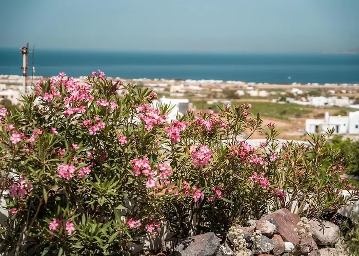 Gasthuis Captain's Quarters 3*