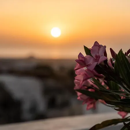 게스트하우스 Captain's Quarters