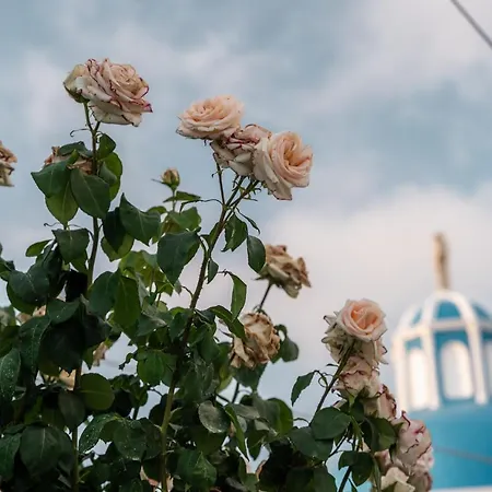 게스트하우스 Captain's Quarters Vóthon